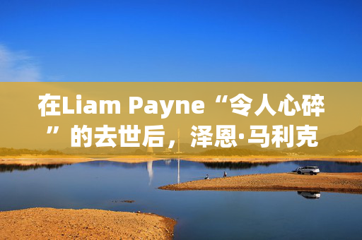 在Liam Payne“令人心碎”的去世后，泽恩·马利克取消了巡演