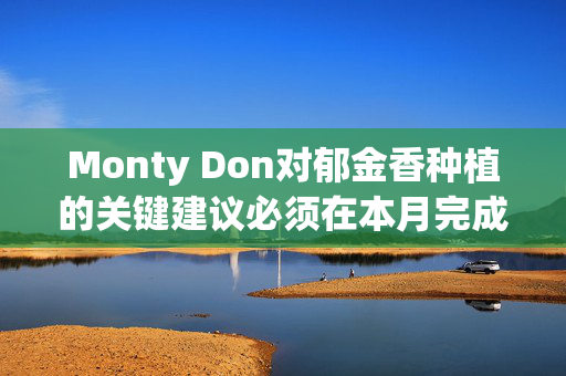 Monty Don对郁金香种植的关键建议必须在本月完成，否则你会在春天后悔的