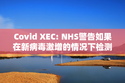 Covid XEC: NHS警告如果在新病毒激增的情况下检测呈阳性该怎么办