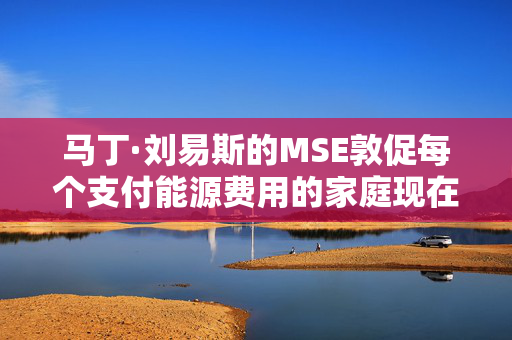 马丁·刘易斯的MSE敦促每个支付能源费用的家庭现在就行动起来