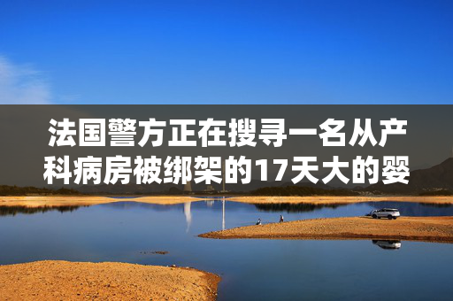 法国警方正在搜寻一名从产科病房被绑架的17天大的婴儿