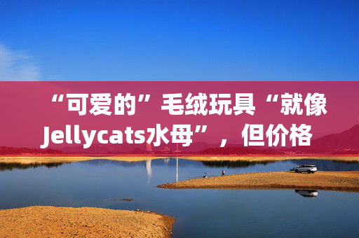 “可爱的”毛绒玩具“就像Jellycats水母”，但价格不到一半