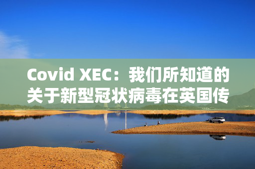 Covid XEC：我们所知道的关于新型冠状病毒在英国传播的一切