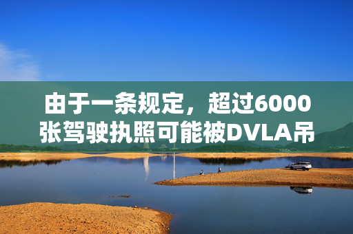 由于一条规定，超过6000张驾驶执照可能被DVLA吊销