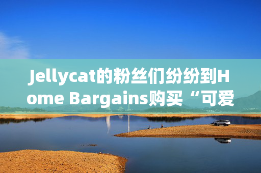 Jellycat的粉丝们纷纷到Home Bargains购买“可爱的”替代品，售价1.99英镑