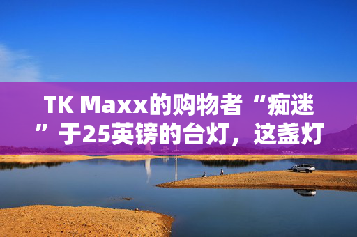 TK Maxx的购物者“痴迷”于25英镑的台灯，这盏灯“表明了自己的立场”