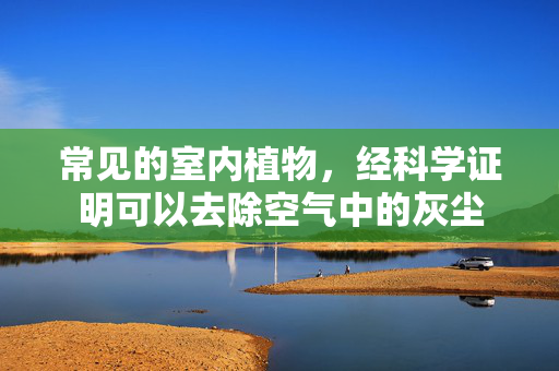 常见的室内植物，经科学证明可以去除空气中的灰尘