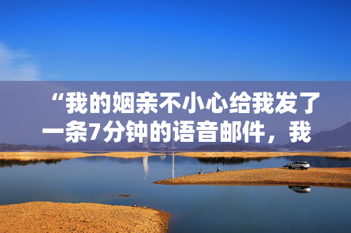 “我的姻亲不小心给我发了一条7分钟的语音邮件，我听到的内容吓了我一跳。”