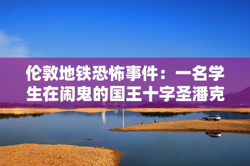 伦敦地铁恐怖事件：一名学生在闹鬼的国王十字圣潘克拉斯车站“看到了鬼”