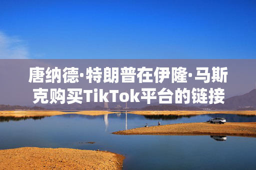 唐纳德·特朗普在伊隆·马斯克购买TikTok平台的链接中列出了TikTok计划