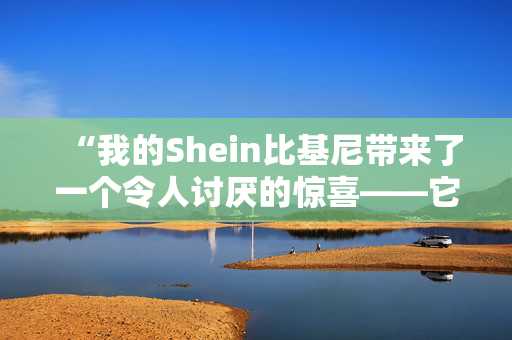 “我的Shein比基尼带来了一个令人讨厌的惊喜——它绝对是恶心的。”