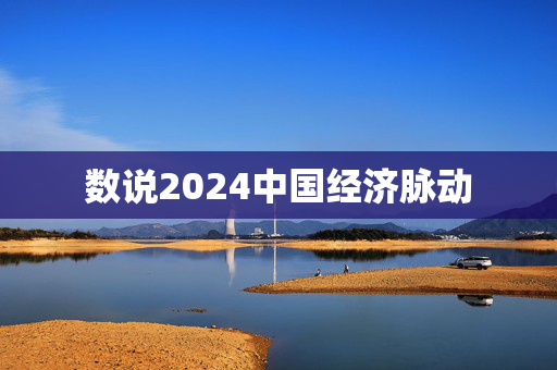 数说2024中国经济脉动