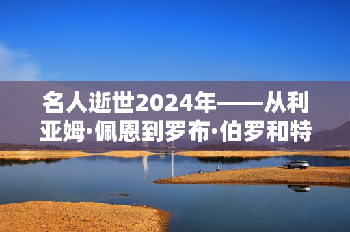 名人逝世2024年——从利亚姆·佩恩到罗布·伯罗和特雷弗·索尔比，名人的面孔都不见了