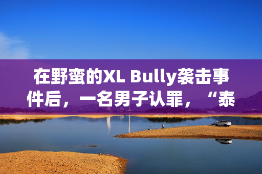 在野蛮的XL Bully袭击事件后，一名男子认罪，“泰坦”狗将邻居咬死