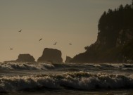 太平洋西北地区的部落受到气候变化的打击，但他们争取得到旨在帮助他们的资金