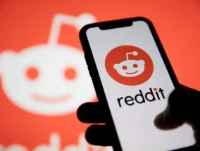 分析师洞察：Reddit股价在强劲的广告指标下被修正