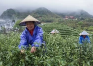 中国经济：浙江对2035年共同繁荣的承诺