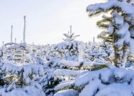 北极风暴将在几小时内袭击英国，英国的雪图变成了紫色